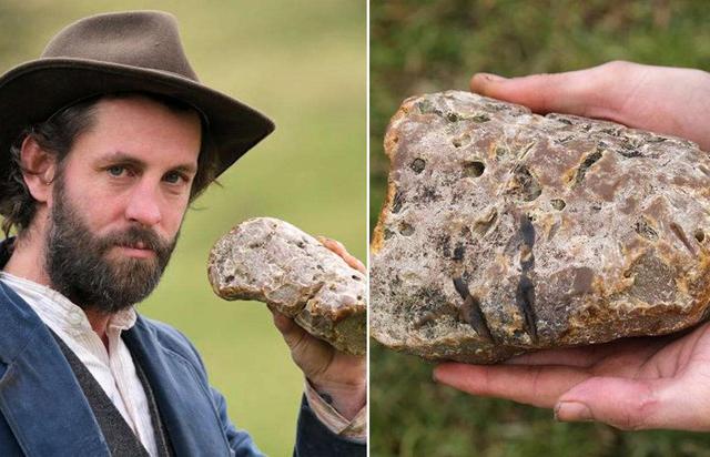 龙涎香是鲸鱼的屎吗，龙涎香是鲸鱼的排泄物（价值超50万的鲸鱼粪便）