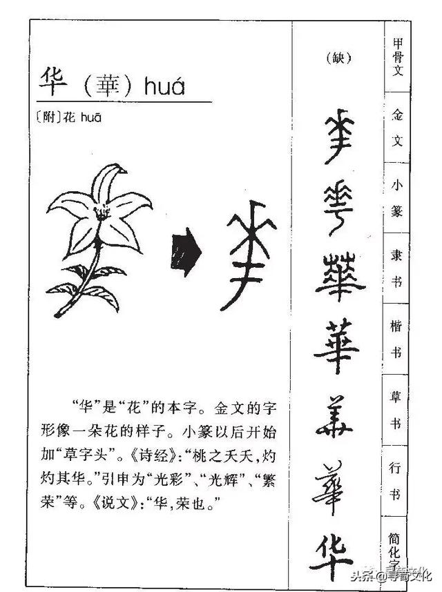 曹的五笔怎么打，曹字五笔怎么打的（华-汉字的艺术与中华姓氏文化荀卿庠整理）