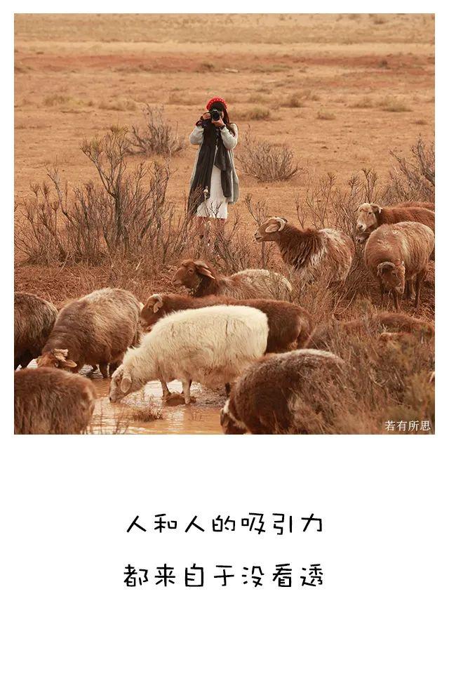 喜欢秋天的理由，我为什么喜欢秋天（秋天最像人生）