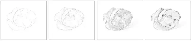 画素描步骤有几个，画一幅素描的基本步骤（零基础，也能画好的素描教程）