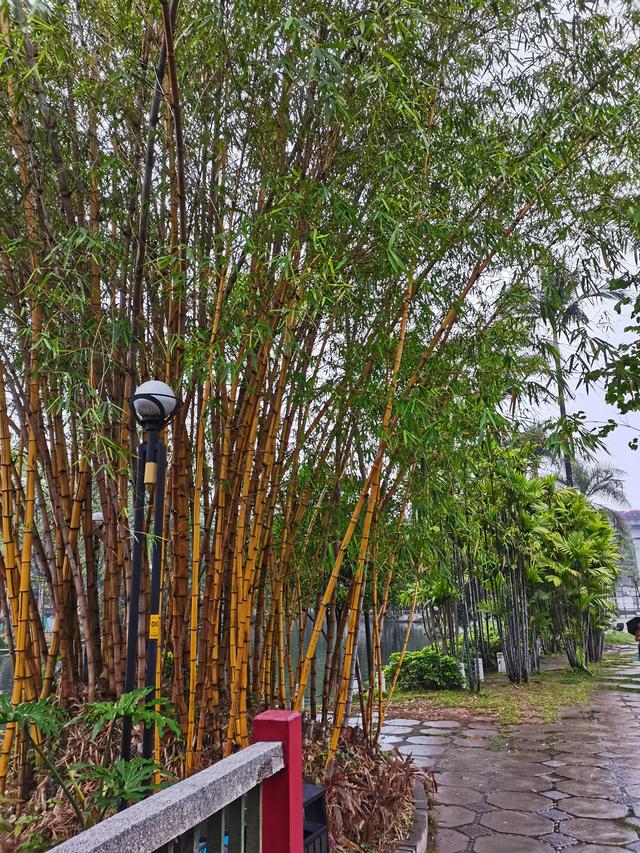 ᰔᩚ惞网名，ᰔᩚ惞微信昵称（惞开我一段尘封己久的青葱岁月）