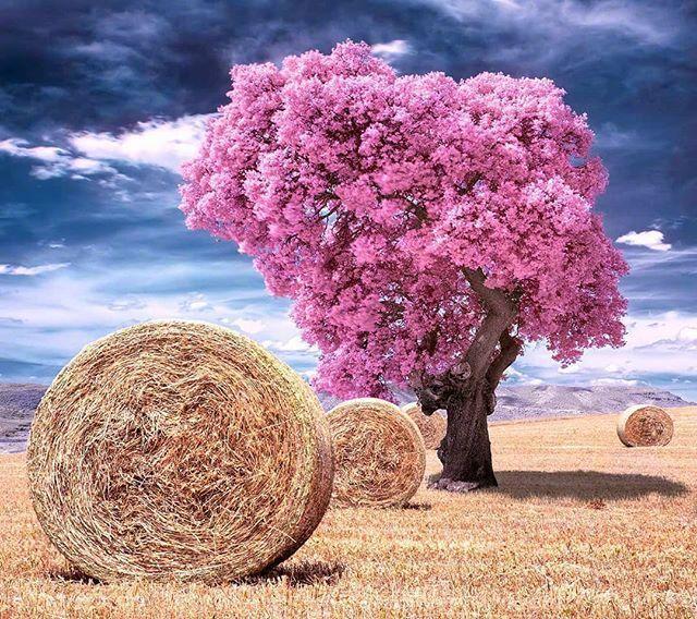 母亲节贺卡内容，生日贺卡制作简单漂亮（母亲节贺卡祝福语）