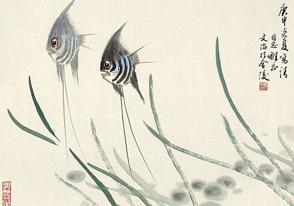 水族画(名家笔下的神仙鱼) - 赤虎壹号