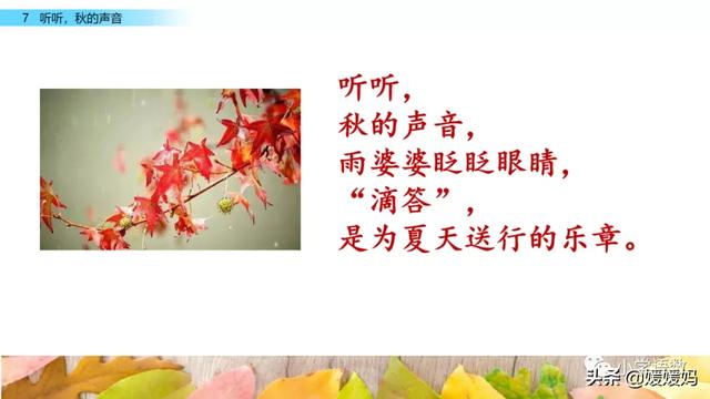 叮咛的近义词是什么，部编版三年级语文上册第7课《听听