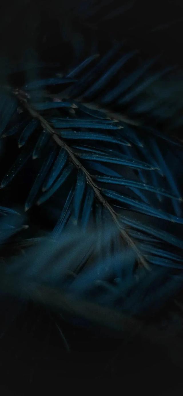 黑暗系列，微信头像，黑暗系列（微信 ， 暗黑系手机图片壁纸）