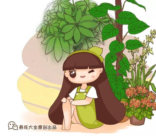 观音莲的花语，观音菩萨与莲花的寓意（守护你的小幸福）