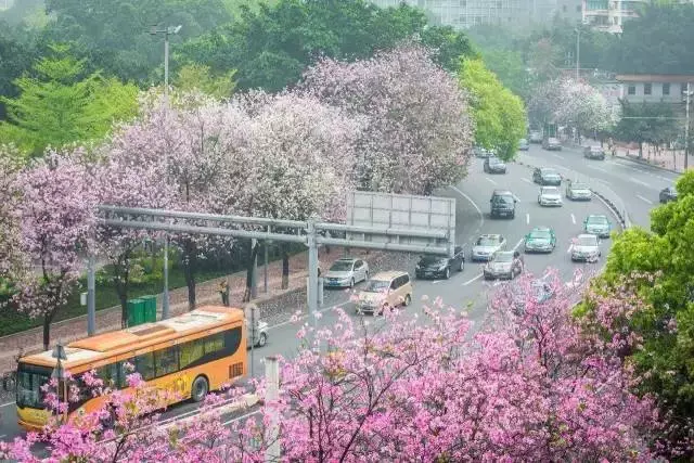 在广州生活这16个技巧请务必知道，这16个技巧请务必知道