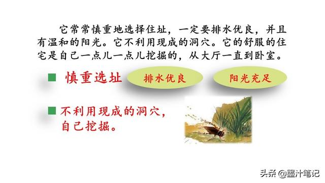 蟋蟀的住宅指的是什么，蟋蟀的住宅 是指什么（第三单元《蟋蟀的住宅》课文讲析）