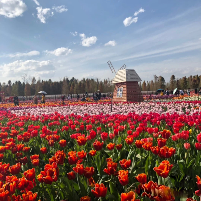 昆明好玩的地方，昆明好玩的地方排行榜（12个昆明近郊亲子自驾游好去处）
