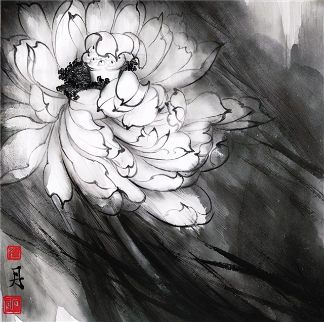 为荷是什么意思，为荷：一场与荷的生命对悟