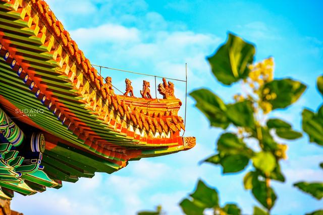 六鼎山大佛是亚洲第一大佛吗，金鼎大佛是亚洲第一大佛吗（长白山下藏有世界最高坐佛）