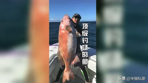 怎样拍短视频赚钱，如何拍抖音视频赚钱（怎么拍抖音赚钱视频）