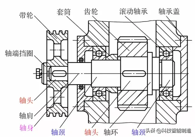 轴是什么意思，性腺轴是什么意思（轴的材料、轴的分类和用途讲解）