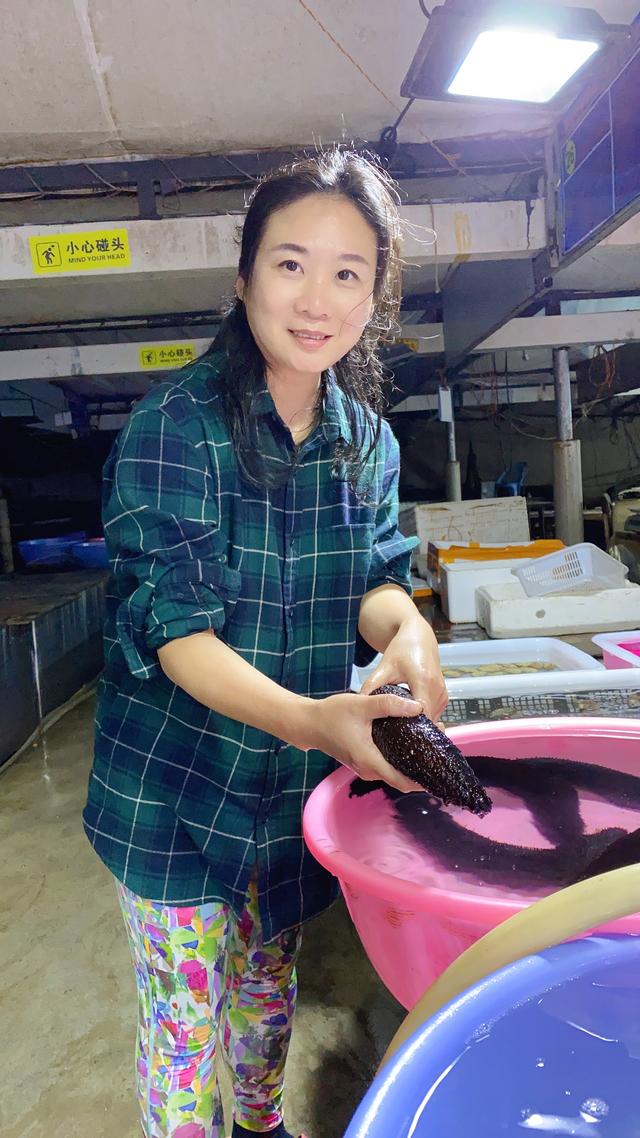 象拔蚌多少钱一斤，把象拔蚌立着自己坐上去视频（爬爬虾45元、生蚝2.5元、贝壳1元）