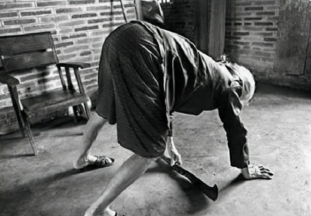 慰安妇是什么意思，最后的慰安妇是什么意思（慰安妇制度的产物“四脚牛”）