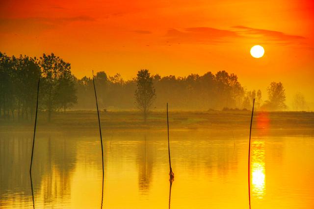 淝水是哪条河的支流，淝水之战中淝水是哪个河的支流（安徽省有四条淝河）