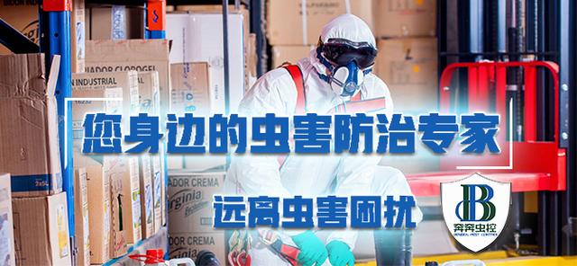 下水道鼻涕虫怎么彻底消灭，下水道鼻涕虫怎么根除（奔奔虫控，鼻涕虫是害虫）