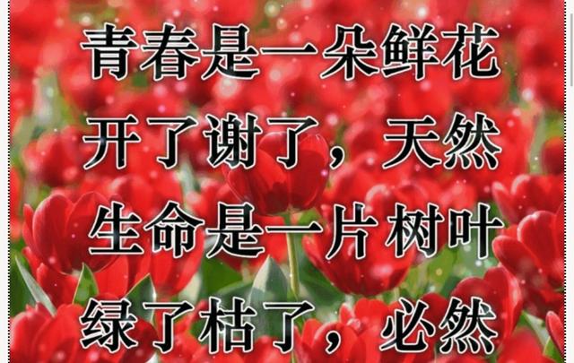 每天都有好心情，如何让自己每天有一个好心情（祝你每天都有好心情）