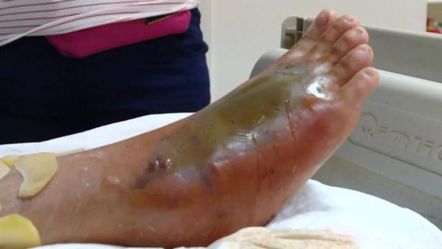 绿色的蛇叫什么蛇，全身绿色的蛇是什么蛇（广东一公交车站旁惊现毒蛇竹叶青）