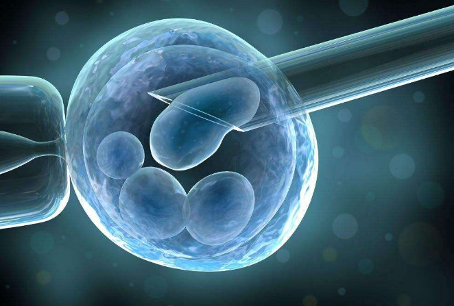 出将入相的意思，出将入相是什么意思（世界上最不可思议的十大骗局）