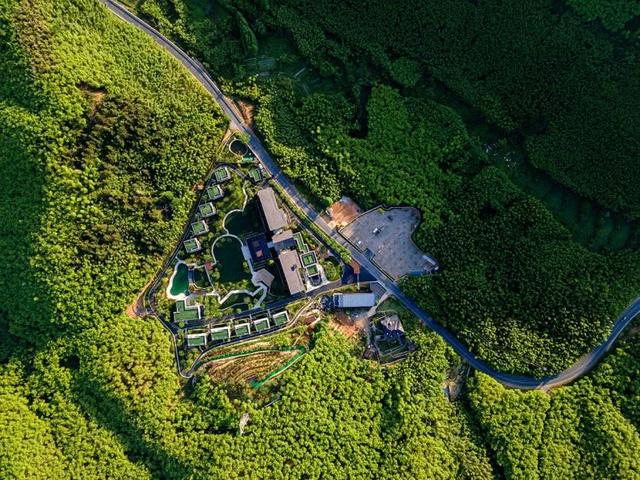 莫干山在杭州还是湖州，莫干山在杭州还是湖州的（全球最值得打卡的地方之一）