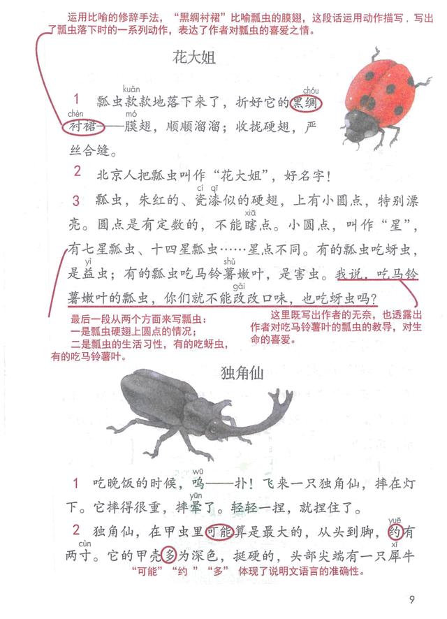 独角仙的特点是什么，独角仙的特点是什么什么,分别用了什么什么什么的方法（三年级语文下《第一单元课堂笔记》三个版本）