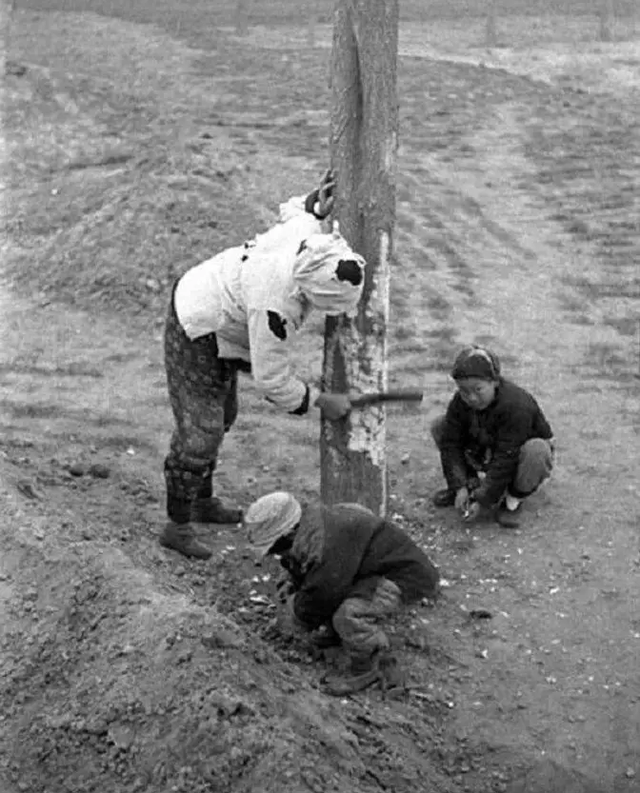 河南蝗灾发生在哪一年，河南蝗灾死了多少人（大饥荒中的汤恩伯到底有多狠）