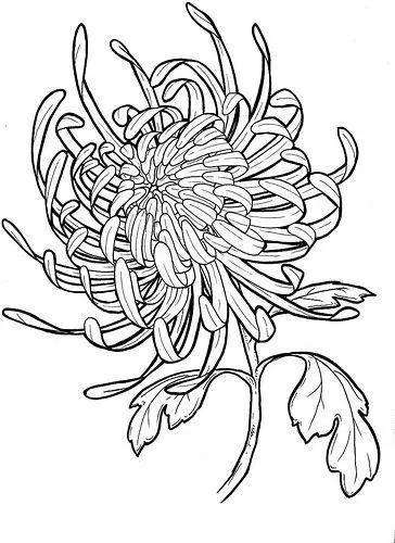 简单的花怎么画，如何画小花花简笔画（一朵花，简单的几笔就可以了）