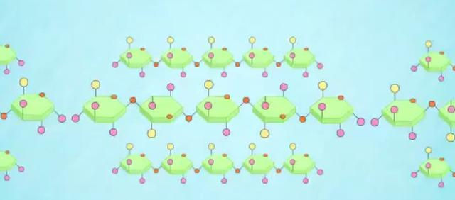 糖是碳水化合物吗，食物中的碳水化合物就是糖吗（所以我们被称为碳水化合物）