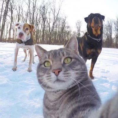 植物大战僵尸头像，植物大战僵尸6人团头微信（在吗？组队换头像啦）