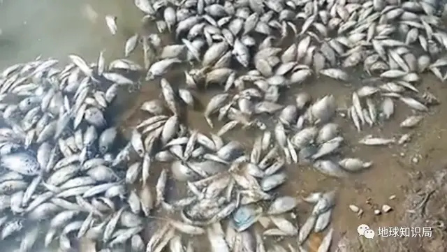 巴库是哪个国家，巴库哪个国家的首都（哈萨克斯坦，手握超级油田）