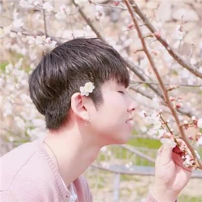 治愈风景图头像微信，治愈风景图头像（风景蓝天草地微信头像）