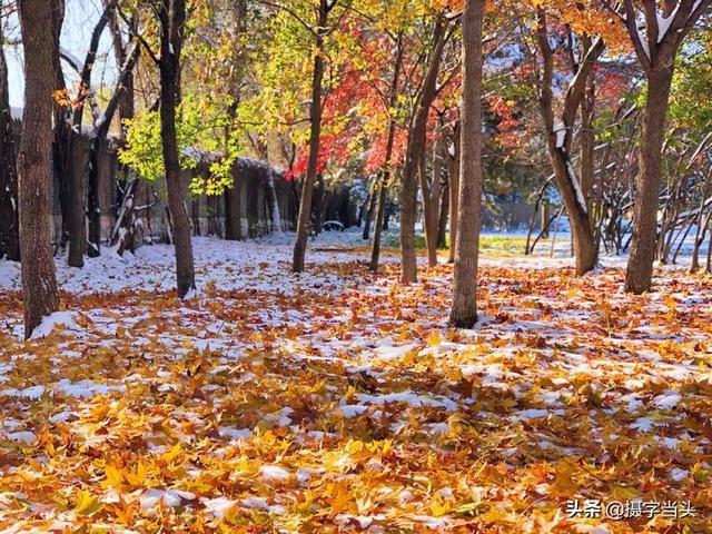 情侣唯美雪景图片，情侣唯美雪景图片真实（冬日初雪印象：一半冬雪）
