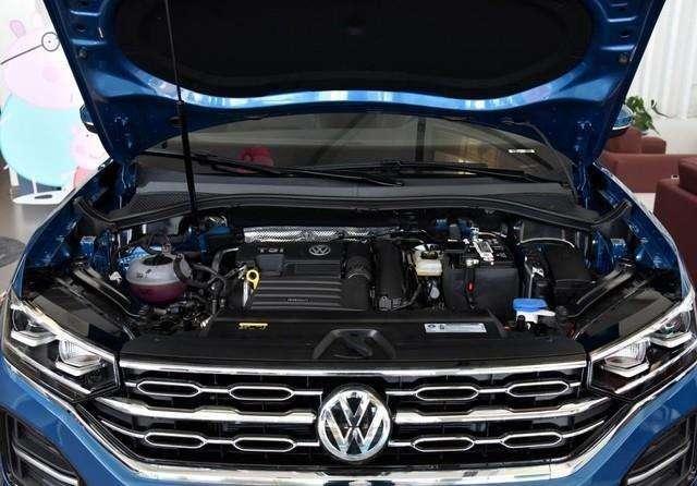 西班牙睡鼠认主人吗，很好养超级迷你宠物（到底为什么这么招人爱）