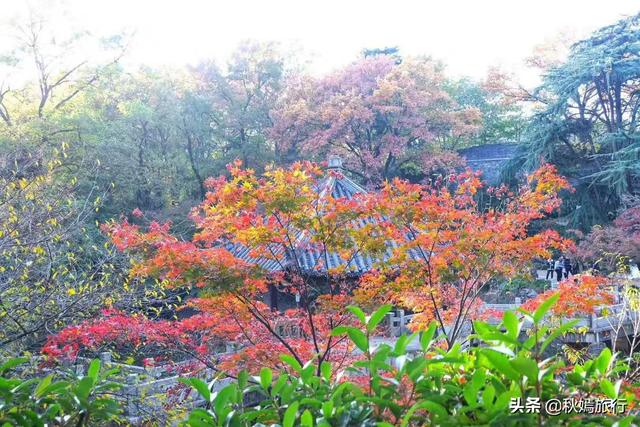 常熟虞山风景区是哪的，常熟市中心这座免费公园