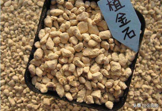 轻石是什么石头，轻石是什么石头的别称（种养兰花植金石无营养好多的东西能取代）