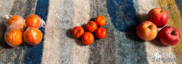 爷爷奶奶简笔画，爷爷奶奶简笔画头像图片（水果、乐高、小纸片......在家怎么系统锻炼孩子的数学思维）