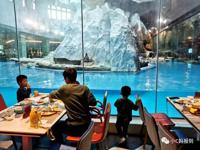 珠海长隆游玩攻略，珠海长隆游玩攻略图（带娃去珠海长隆该怎么玩）