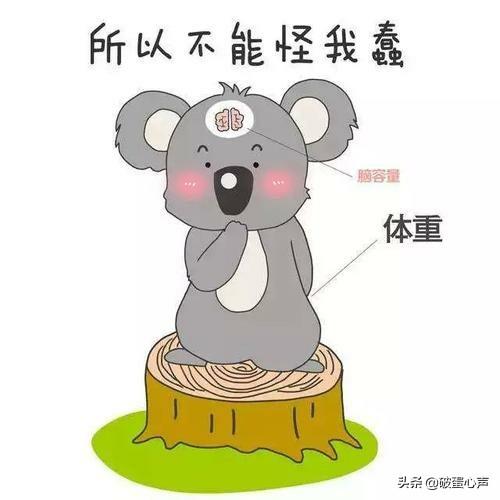 澳大利亚的国宝，澳大利亚国徽图片大全（真的快被要被它蠢哭了
