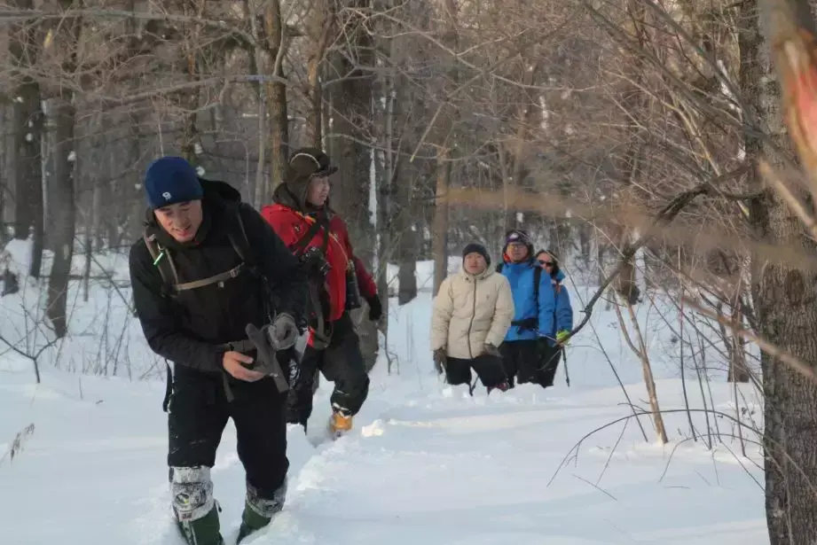 雪乡在哪，雪乡在哪个机场（雪乡的孪生兄弟——雪村）