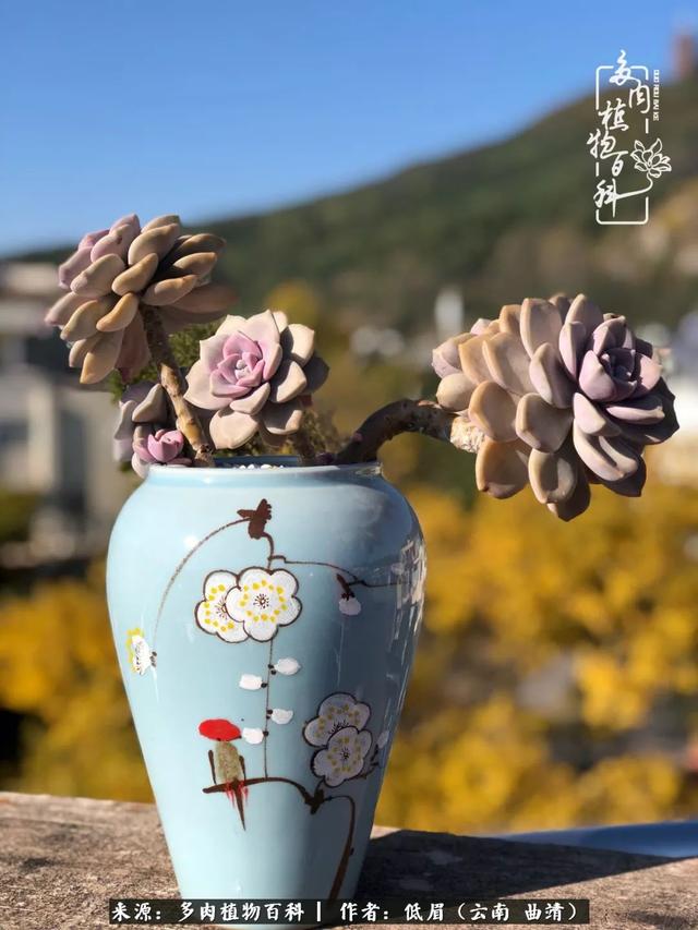 很丧很失望——低眉.，皱着眉头哭丧（陪你度过寒冷的圣诞平安夜图片）