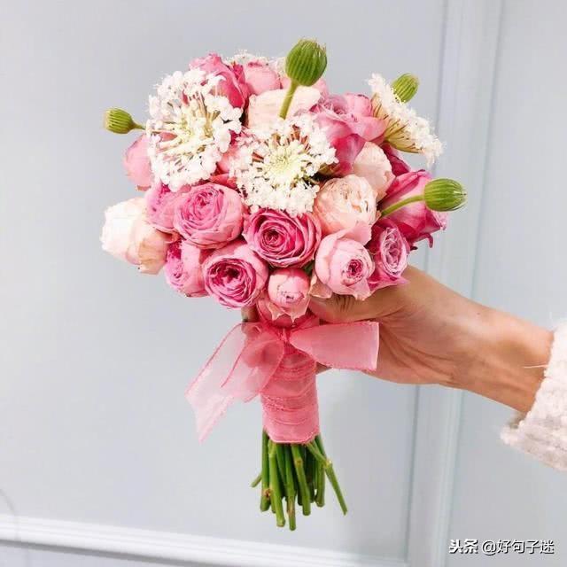 表达爱意的句子，楚辞中表达爱情的句子（适合发朋友圈最好听的情话）