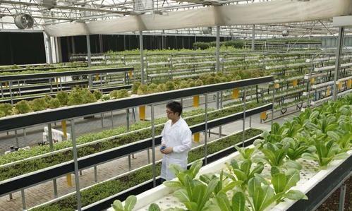 甘肃农业大学排名，甘肃农业大学在全国排名多少（2020年40所公办农林类大学排名）