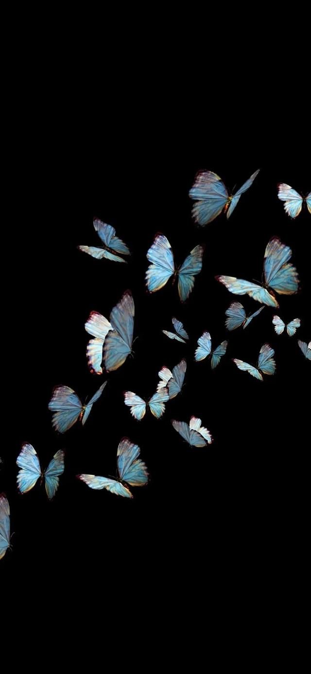 壁纸   人望山，鱼窥荷，人望山鱼窥荷鱼有骨人无心暗示什么（理想主义的少年永远不会被现实招安图片）