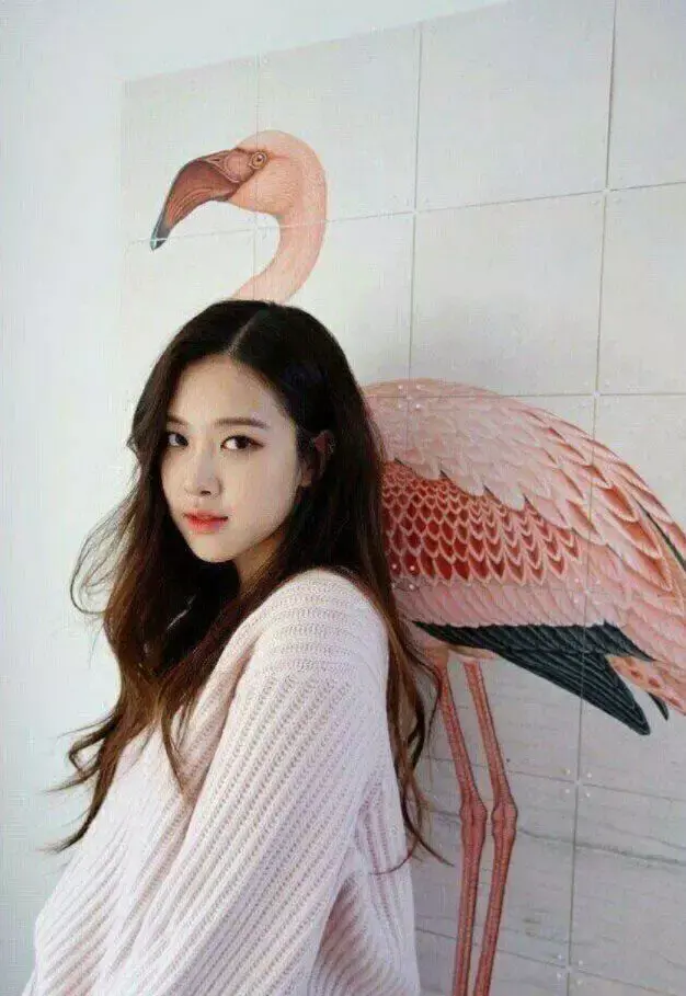 女团成员开场介绍，宝藏女团的魅力尽头在哪里