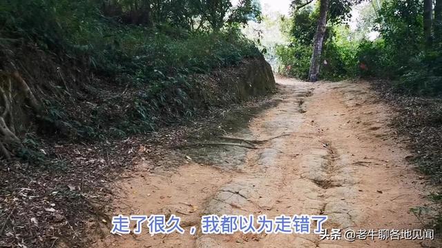 杨贵妃是哪里人，杨贵妃是哪里人,今为哪个省（山西陕西四川河南表示不服）