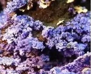 紫云母适合什么人佩戴，紫云母手镯的功效和作用（宝石新星——紫云母）