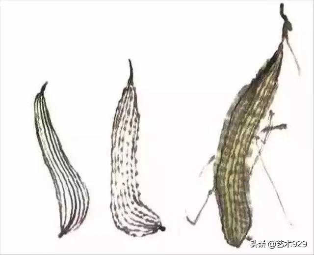 丝瓜喜欢阴还是阳，丝瓜苗喜阳还是阴（一教就会，国画丝瓜的写意画法）