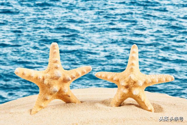 属龙的大男子主义都体现在哪，属龙的男人是什么性格（主动跟这几个生肖男复合风险很大）