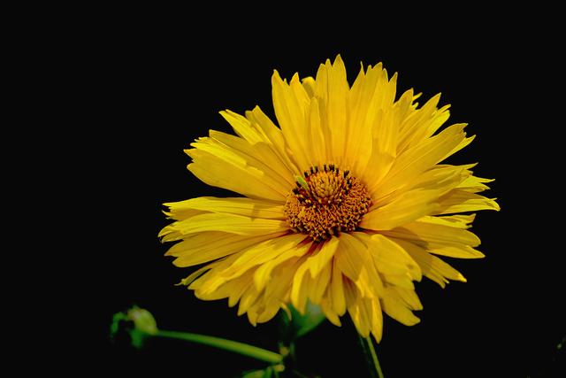 水果属性一览表，水果属性一览（了解水果的3个属性）